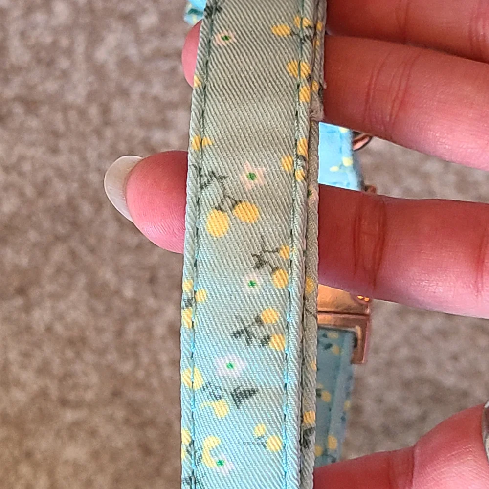 N/A cute teal